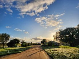 Yarrawonga Pet Resort