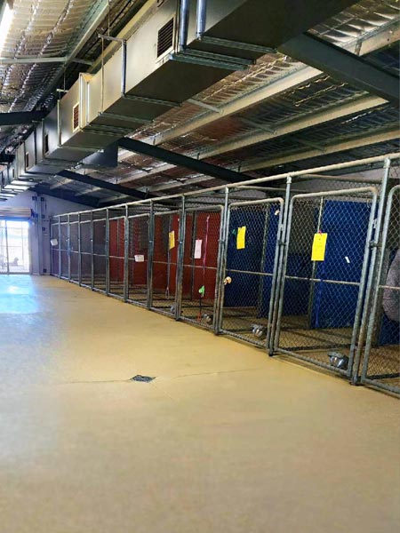 Dog boarding Yarrawonga